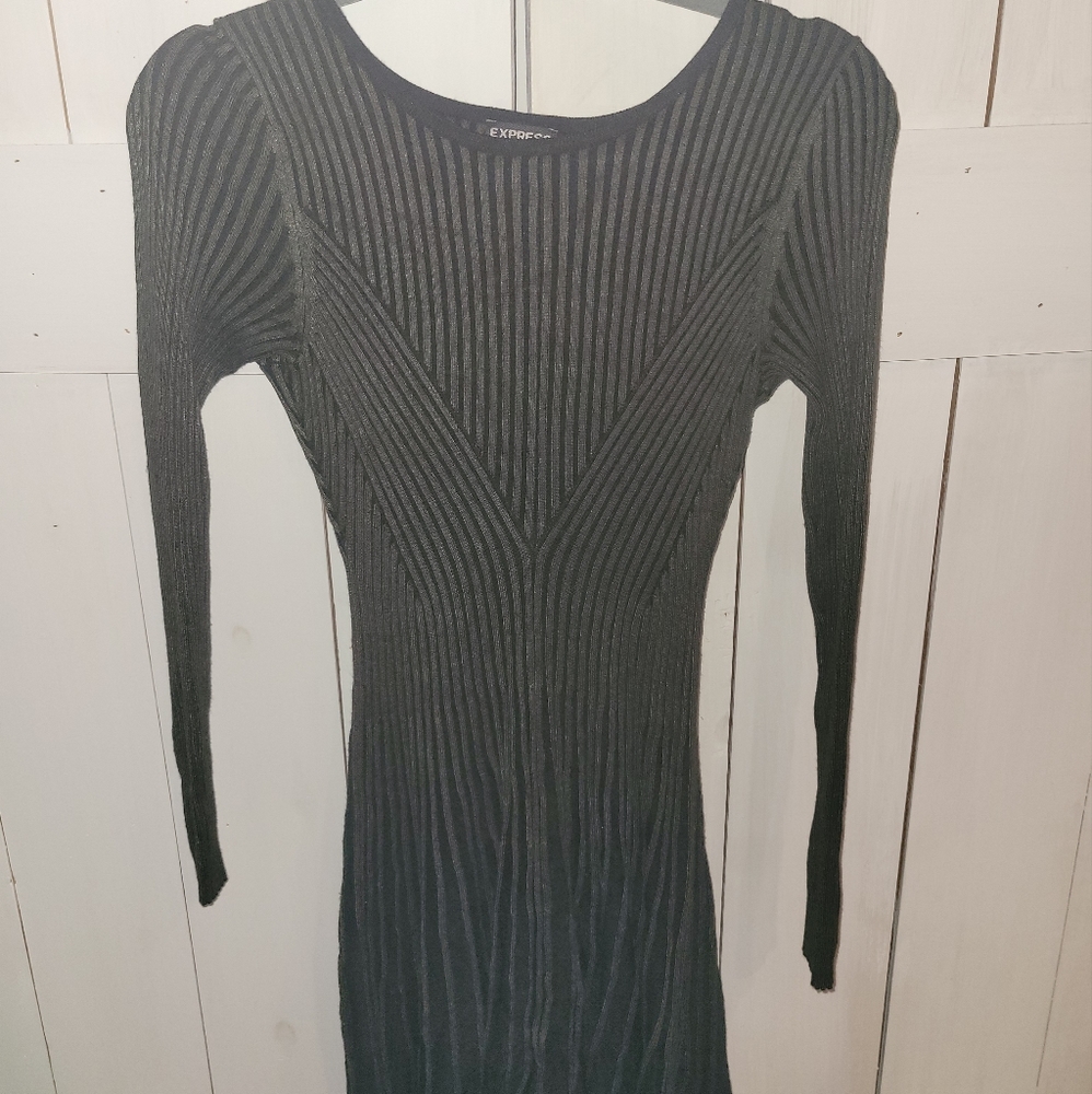 Fit and Flare Express Sweater Dress